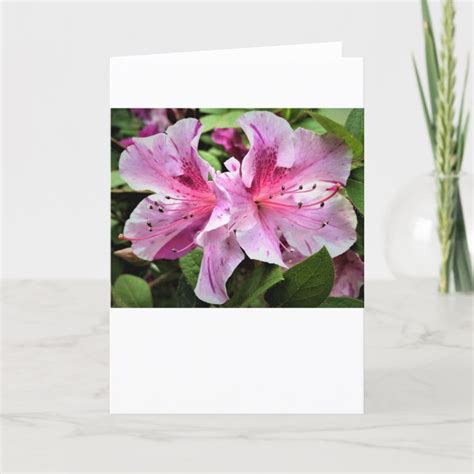 Azala's Picture Cards .